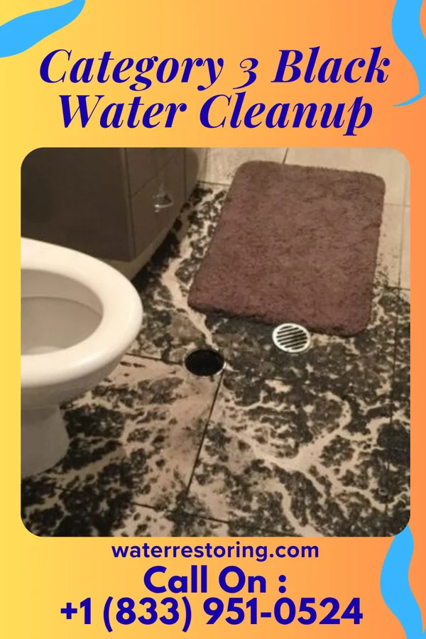 Category 3 Black Water Cleanup in Lander, WY