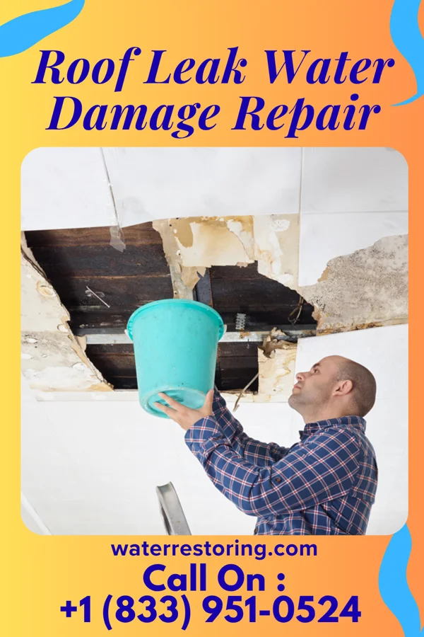 Roof Leak Water Damage Repair in Lander, WY